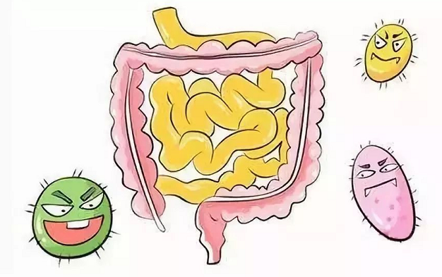 音波水と体内の毒素の排出 体内の毒素の排出 第1张-富士健康産業株式会社 音波水と体内の毒素の排出 体内の毒素の排出 第1张